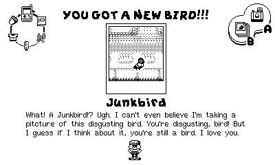 Casual Birder (screenshot 3)